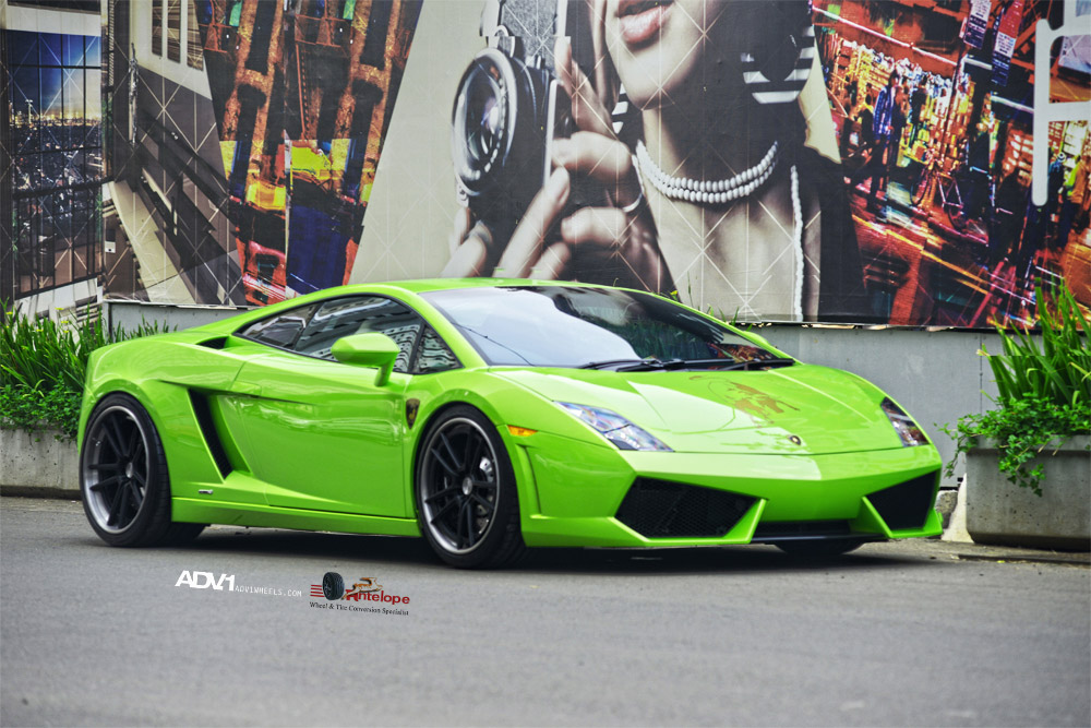 Name:  DSC_0954-small.jpg
Views: 24
Size:  222.8 KB