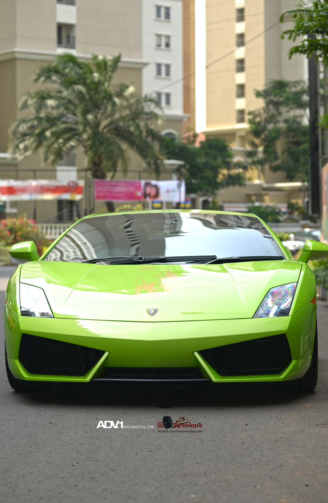 Name:  DSC_0960-small.jpg
Views: 31
Size:  151.8 KB