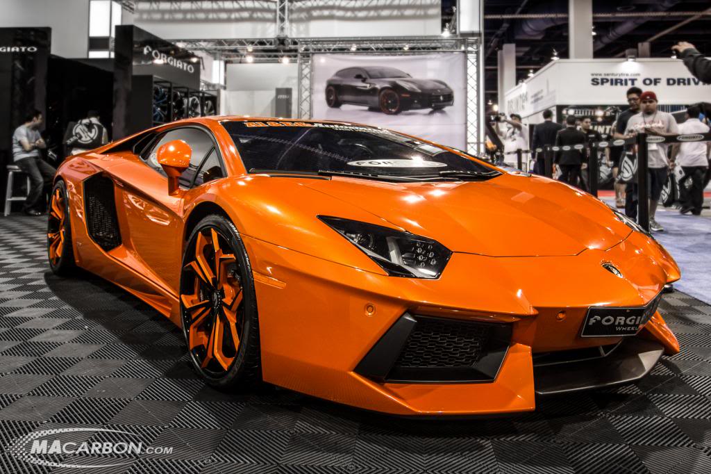 Name:  IMG_6250-Edit.jpg
Views: 101
Size:  125.0 KB