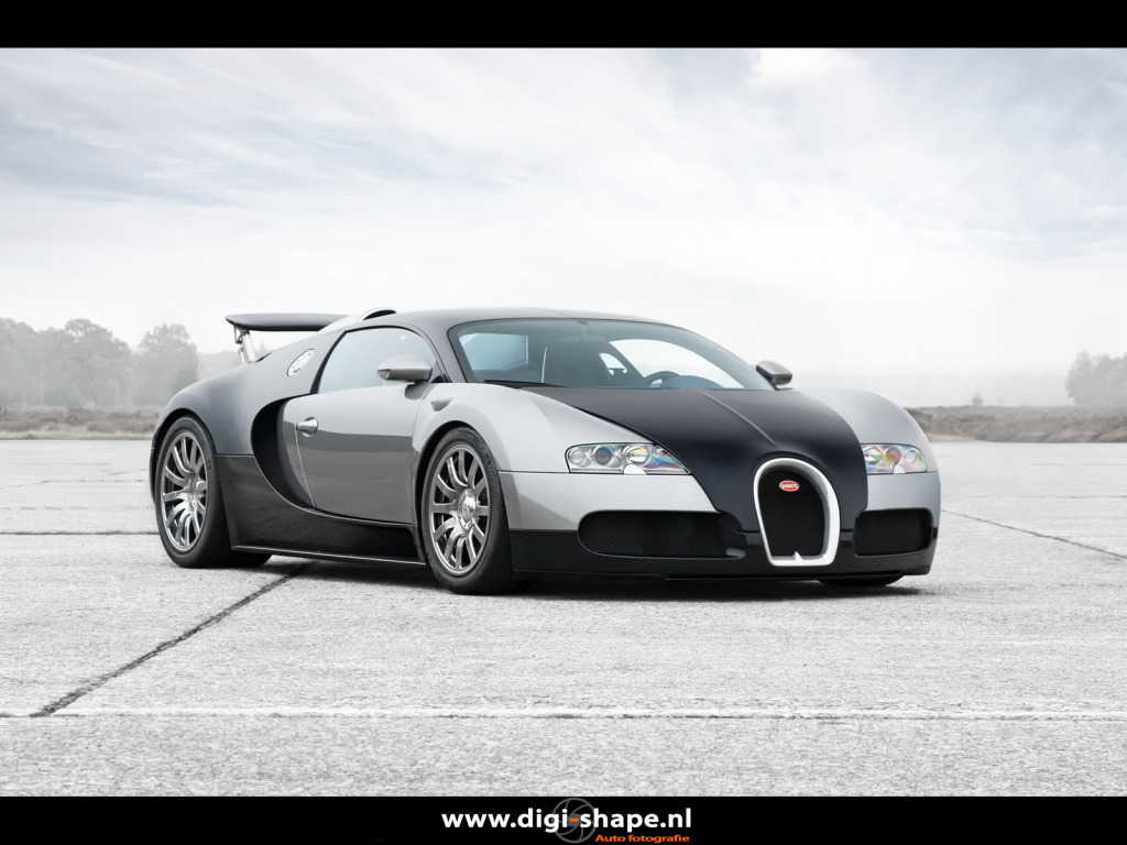 Name:  4312_digishape_fotografie255aan.jpg
Views: 246
Size:  172.6 KB