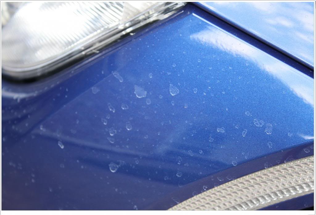 Name:  new335005.jpg
Views: 82
Size:  70.7 KB