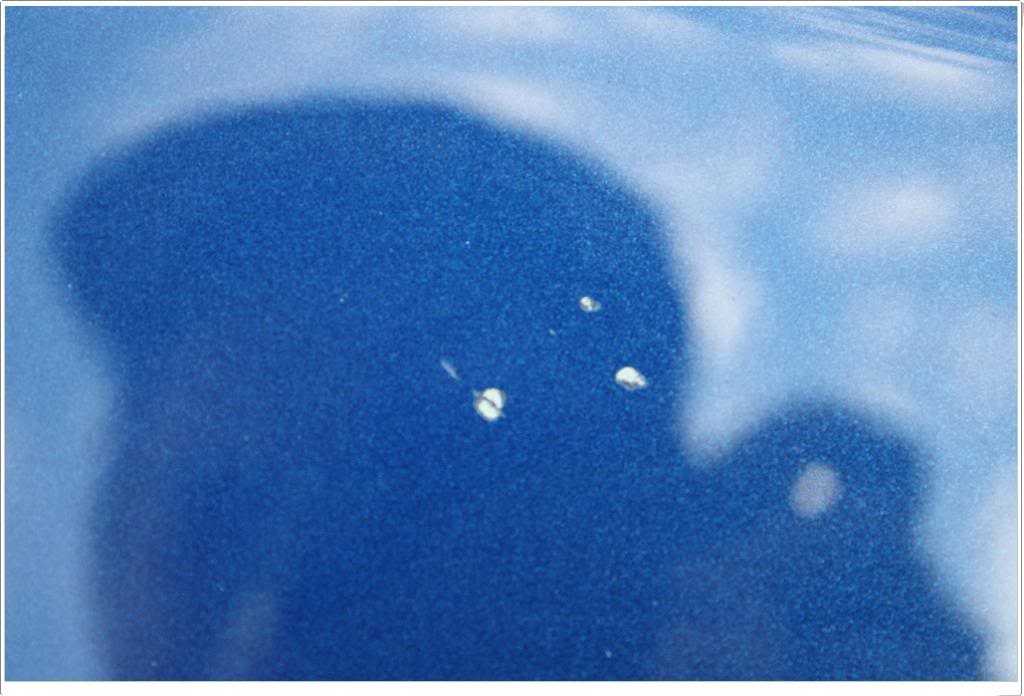 Name:  new335018.jpg
Views: 96
Size:  72.2 KB