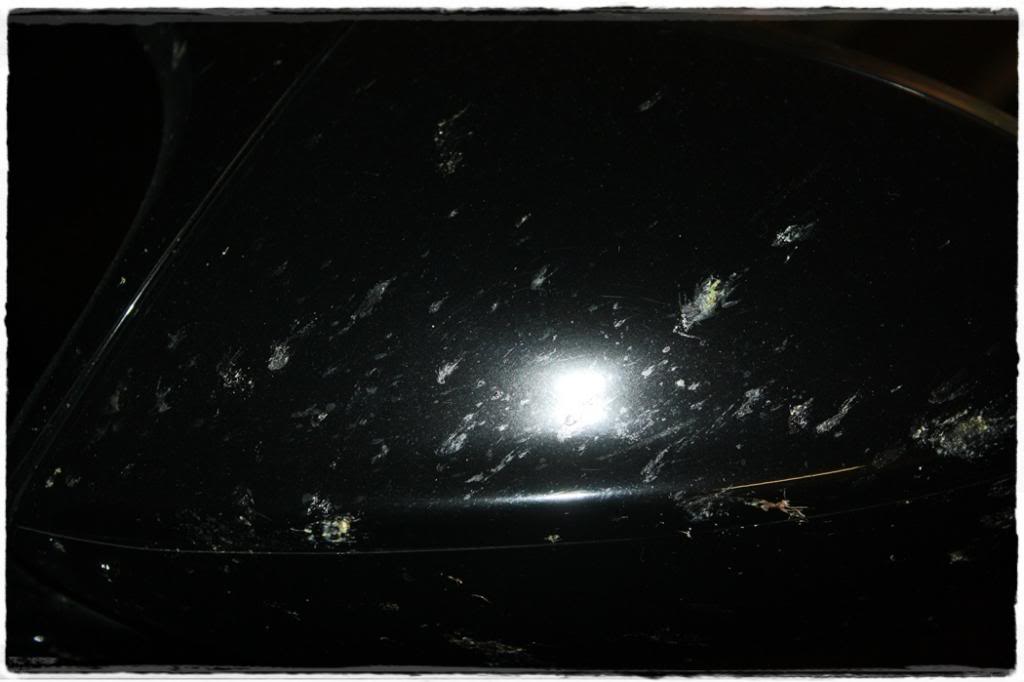 Name:  newm3011.jpg
Views: 133
Size:  48.0 KB
