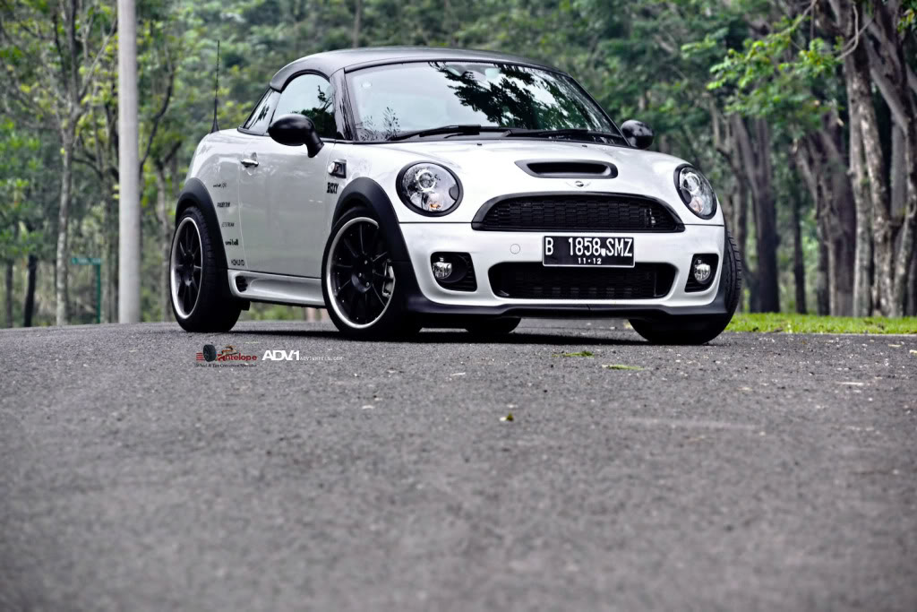 Name:  DSC_0534-1_resize.jpg
Views: 199
Size:  130.0 KB