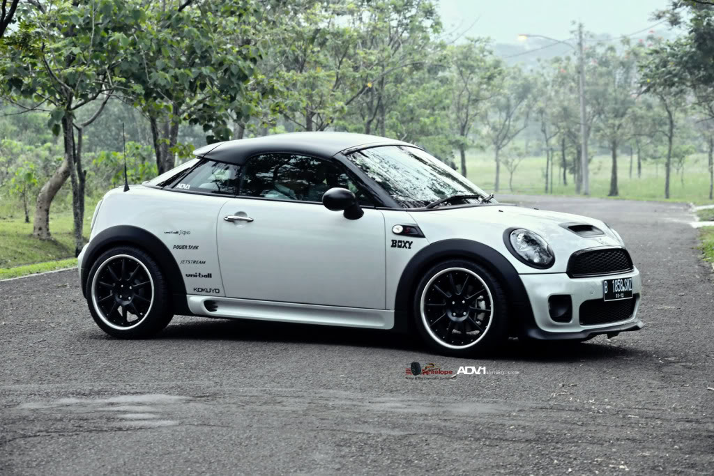 Name:  DSC_0568-1_resize.jpg
Views: 207
Size:  179.7 KB