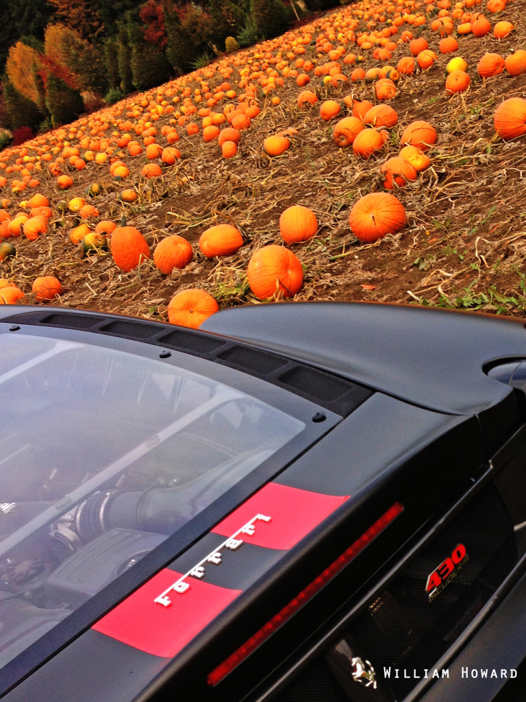 Name:  IMG_5766ab.jpg
Views: 78
Size:  367.0 KB