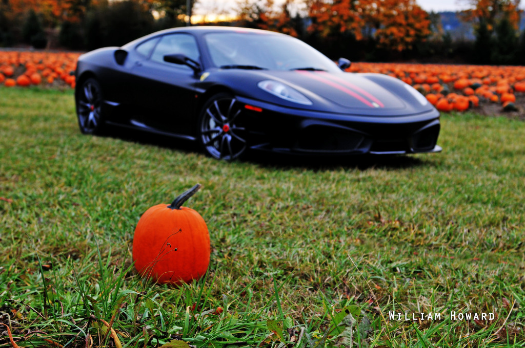 Name:  040ab-1.jpg
Views: 83
Size:  328.3 KB