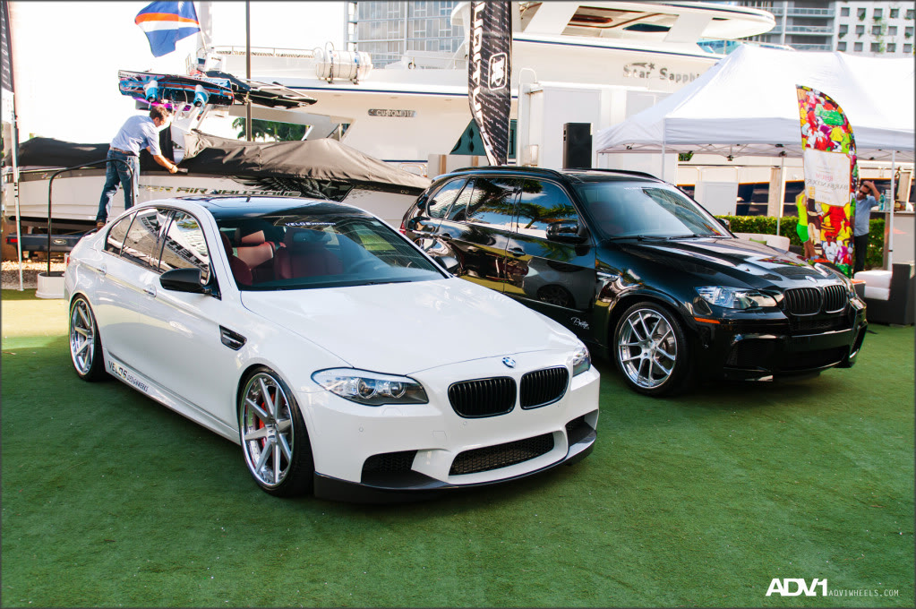 Name:  ADV1FOS5.jpg
Views: 413
Size:  251.4 KB