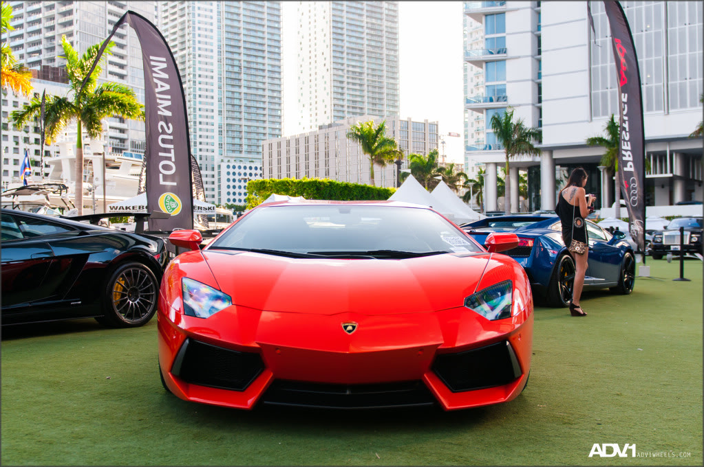 Name:  ADV1FOS20.jpg
Views: 462
Size:  247.5 KB