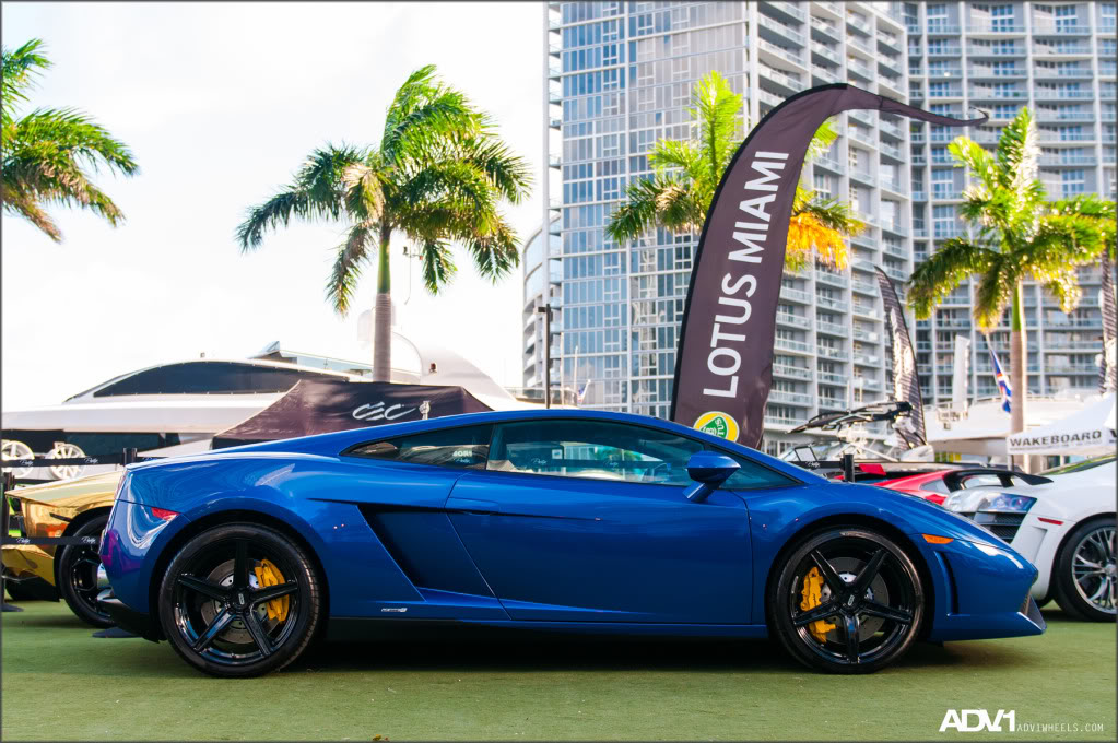 Name:  ADV1FOS19.jpg
Views: 447
Size:  175.0 KB