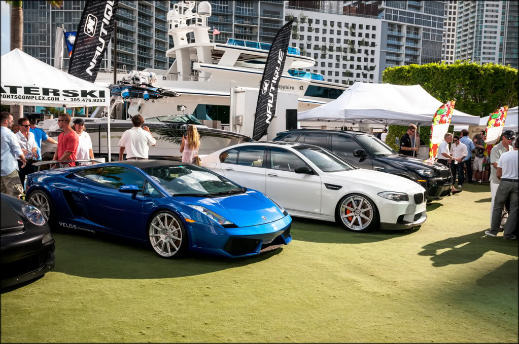 Name:  ADV1FOS131.jpg
Views: 508
Size:  203.6 KB