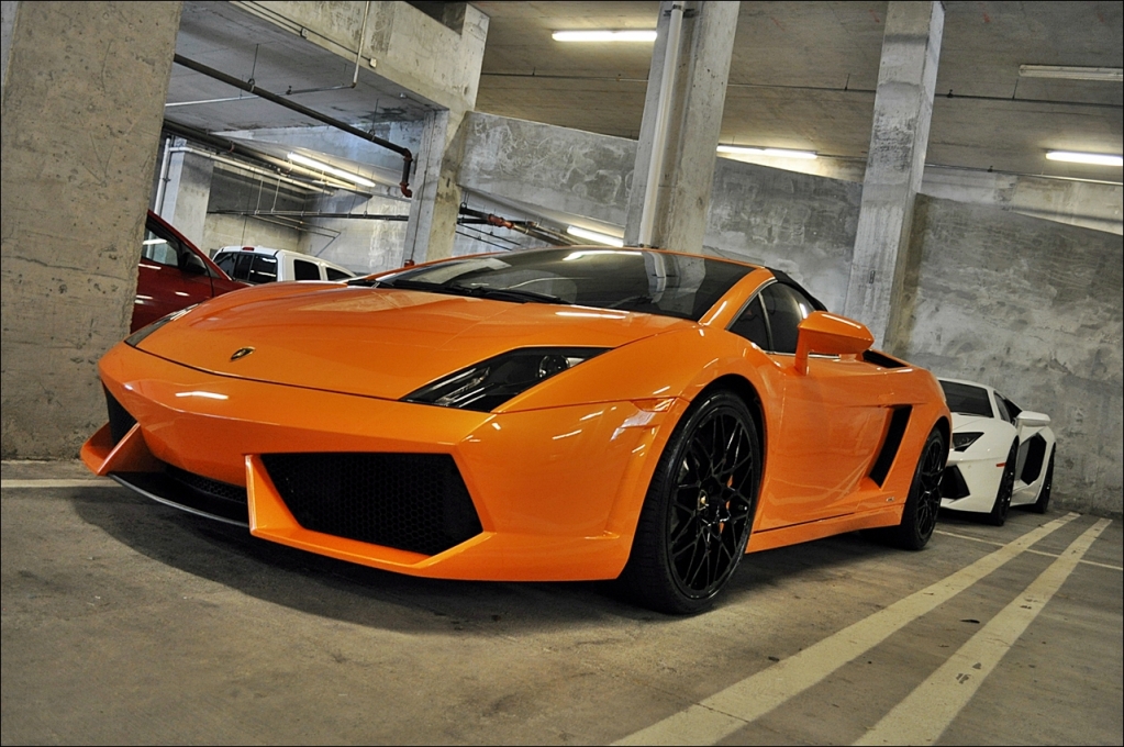 Name:  Lamborghini_Gallardo_LP560_Rent_Miami_Lou_La_Vie_02.jpg
Views: 204
Size:  517.2 KB