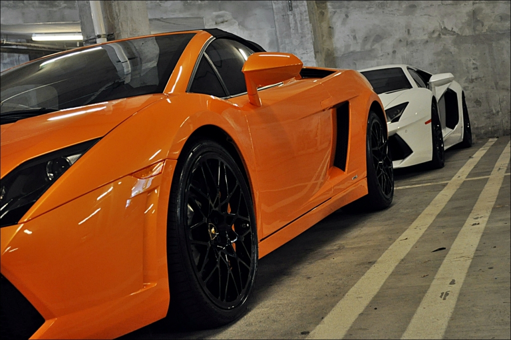 Name:  Lamborghini_Gallardo_LP560_Rent_Miami_Lou_La_Vie_03.jpg
Views: 167
Size:  480.1 KB