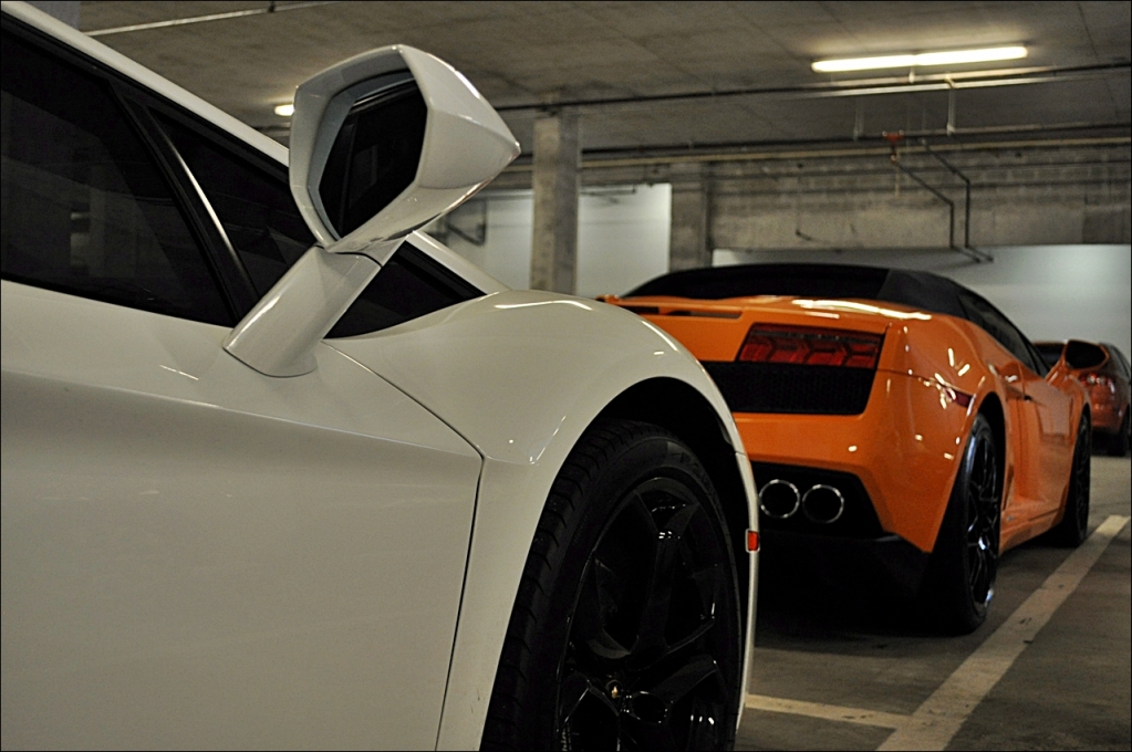 Name:  Lamborghini_Gallardo_LP560_Rent_Miami_Lou_La_Vie_05.jpg
Views: 119
Size:  427.3 KB