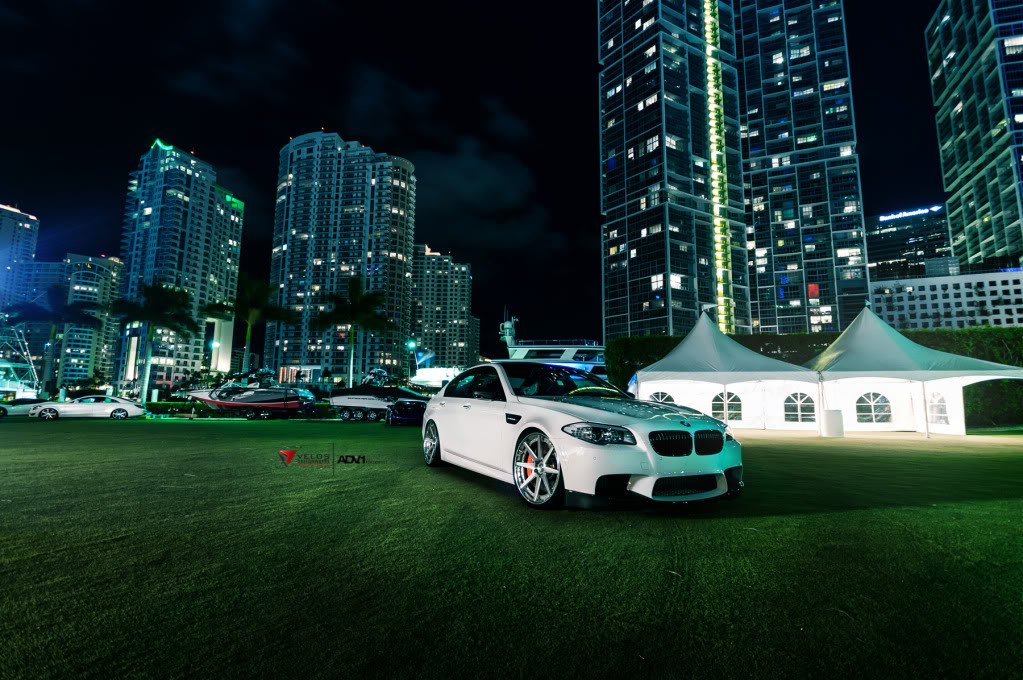 Name:  FOSADV1VelosM51.jpg
Views: 42
Size:  179.2 KB