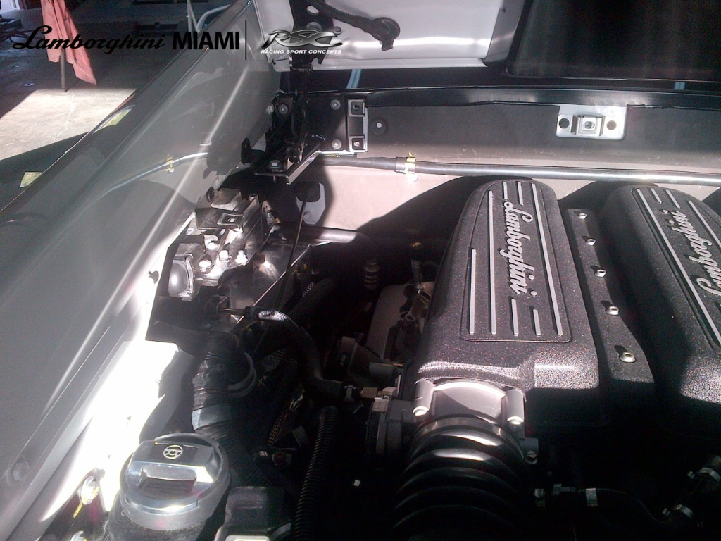 Name:  RSCLP550Build11.jpg
Views: 53
Size:  225.1 KB