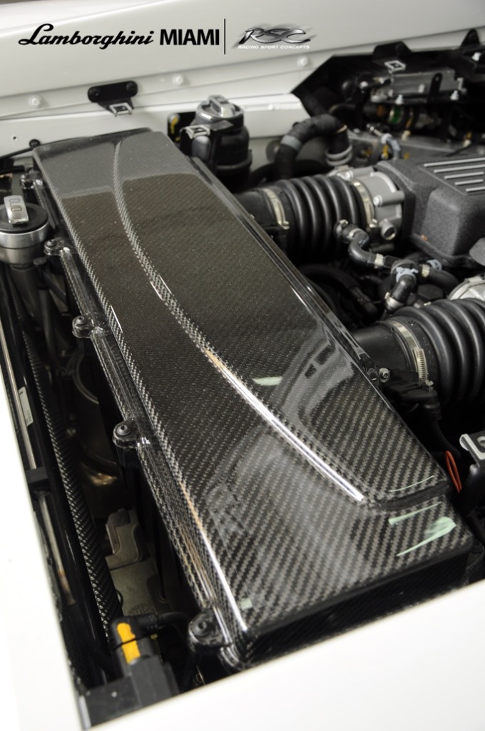 Name:  RSCLP550Build16.jpg
Views: 52
Size:  170.5 KB