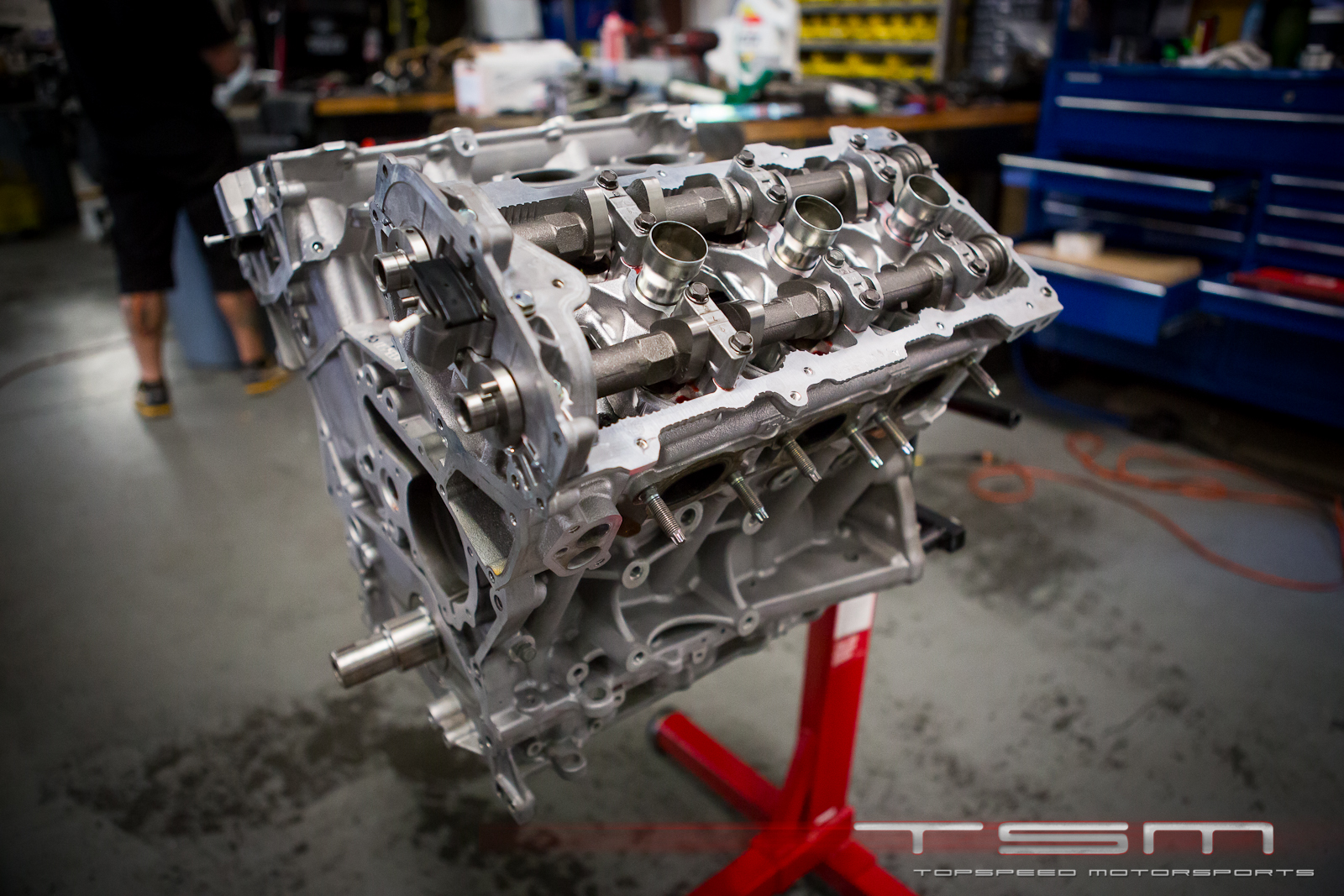 Name:  FF9A6498.jpg
Views: 26
Size:  1.10 MB