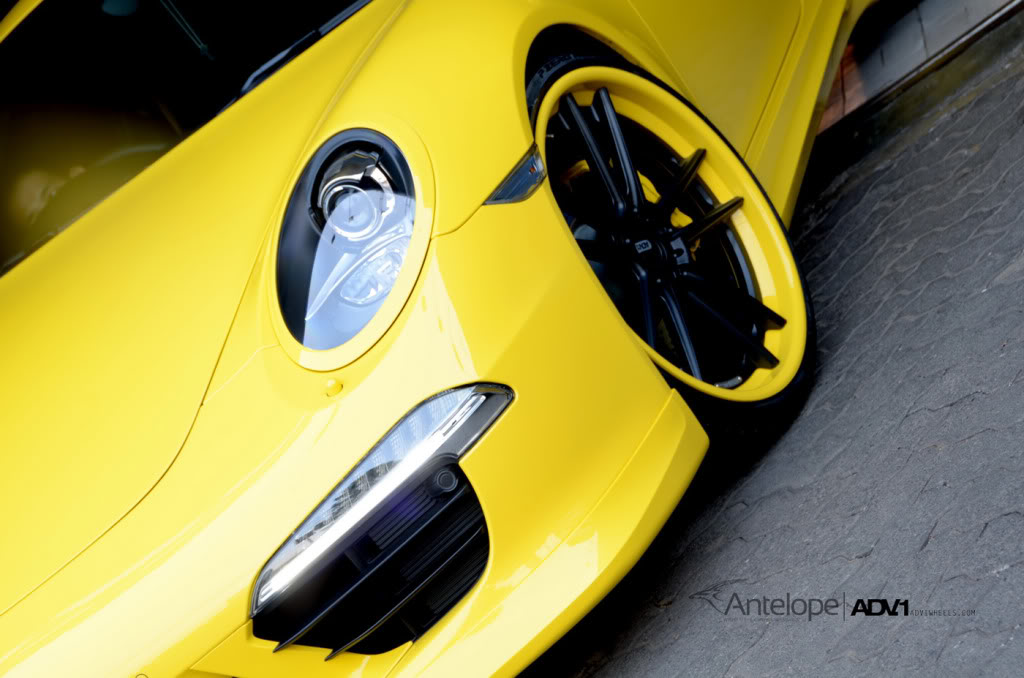 Name:  DSC_8382_resize.jpg
Views: 160
Size:  98.4 KB