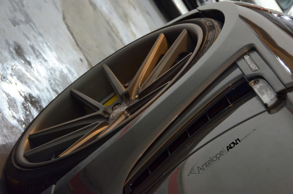 Name:  DSC_8120-1_resize.jpg
Views: 205
Size:  84.6 KB