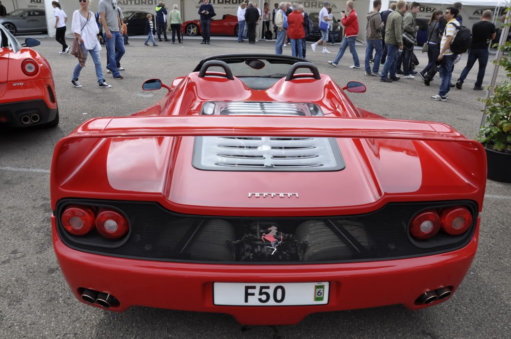 Name:  _DSC1207.jpg
Views: 292
Size:  165.9 KB