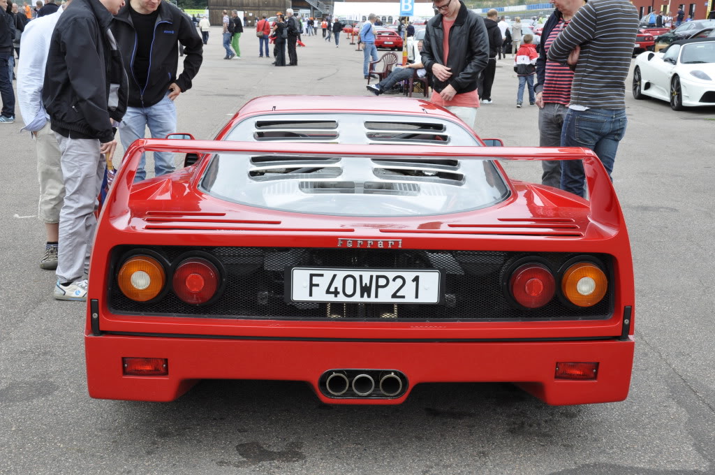 Name:  _DSC1271.jpg
Views: 221
Size:  187.4 KB