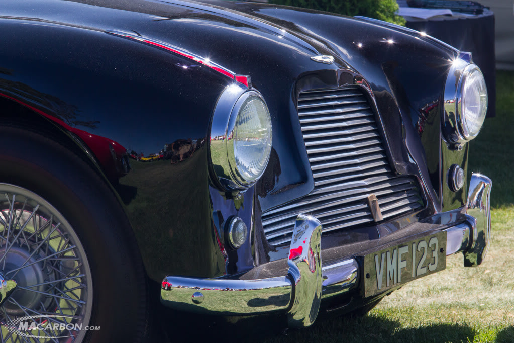 Name:  IMG_2636.jpg
Views: 150
Size:  198.6 KB