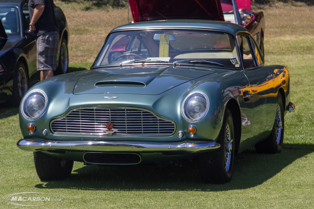 Name:  IMG_2337.jpg
Views: 159
Size:  149.9 KB