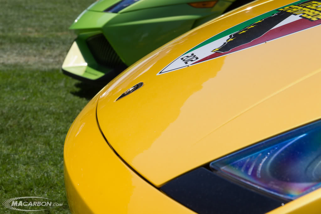 Name:  IMG_2182.jpg
Views: 136
Size:  79.5 KB