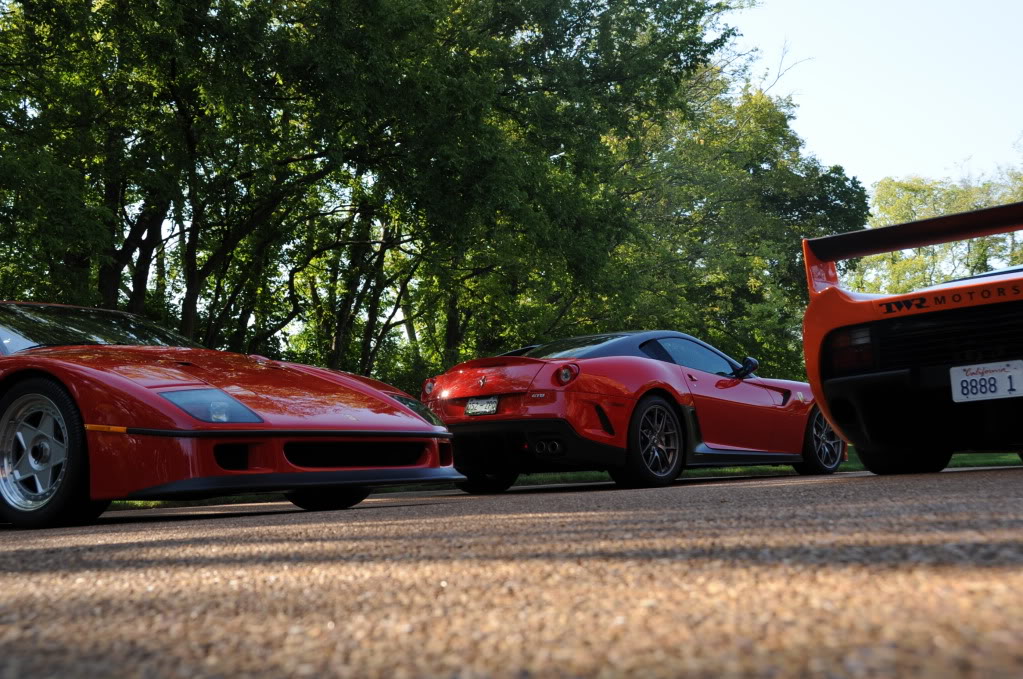 Name:  DSC_6571.jpg
Views: 215
Size:  186.8 KB