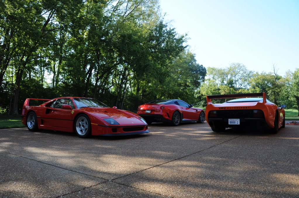 Name:  DSC_6563.jpg
Views: 250
Size:  191.4 KB