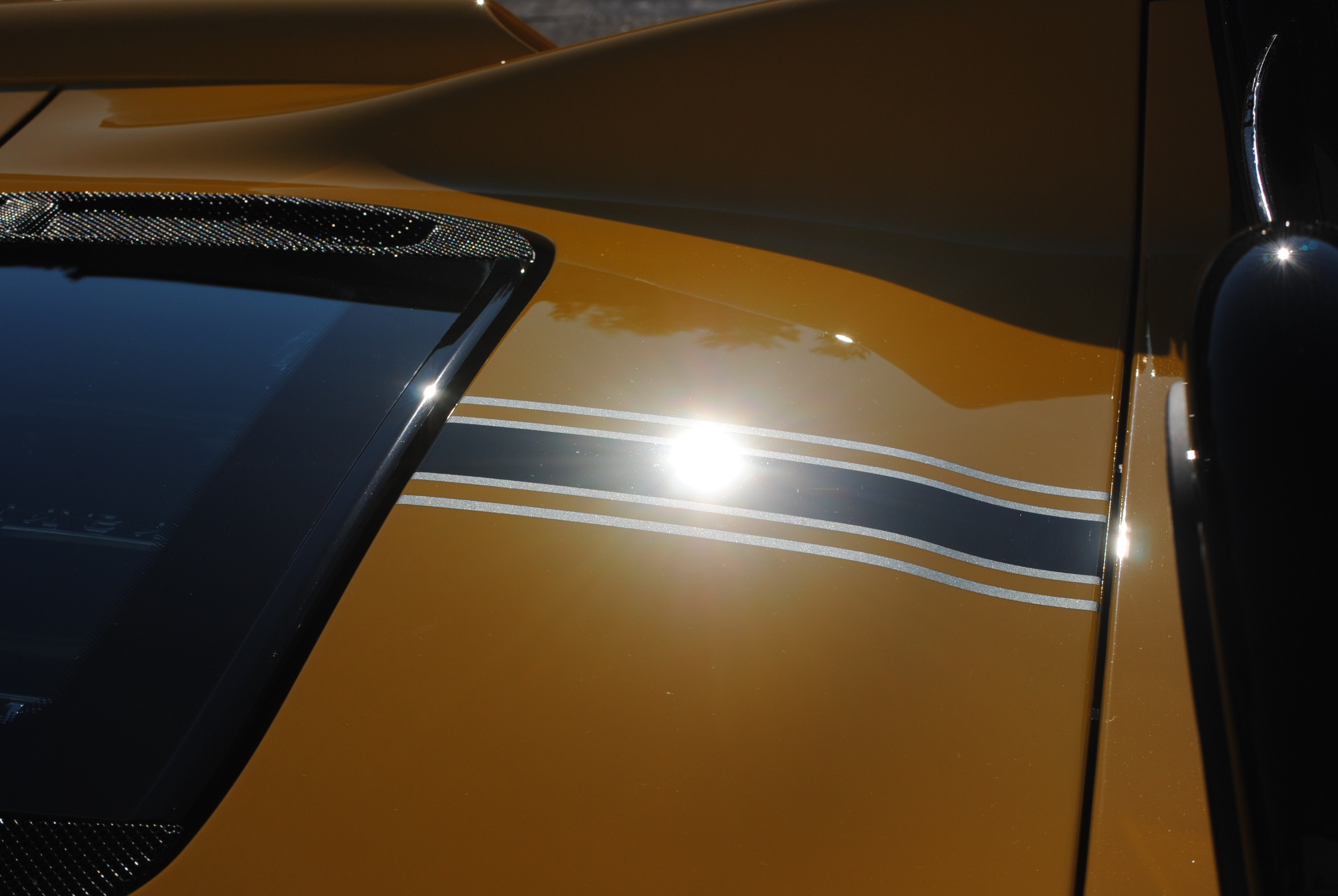 Name:  DSC_0012.jpg
Views: 271
Size:  2.91 MB