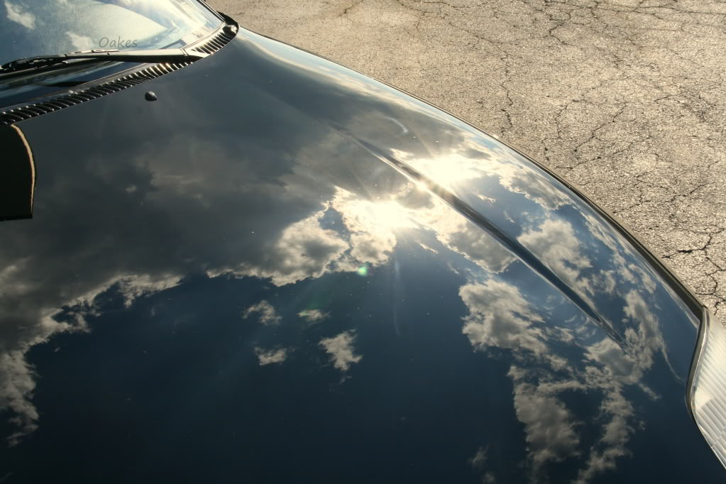 Name:  25-1.jpg
Views: 107
Size:  121.1 KB