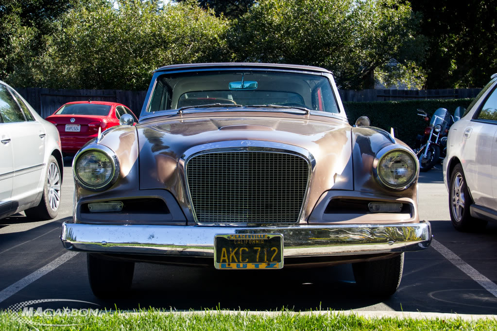 Name:  IMG_1806-Edit.jpg
Views: 96
Size:  240.5 KB