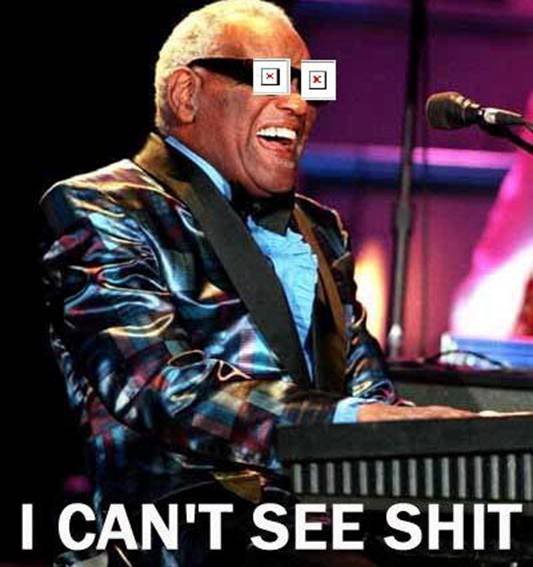 Name:  ray-charles-i-cant-see-shit.jpg
Views: 221
Size:  40.5 KB