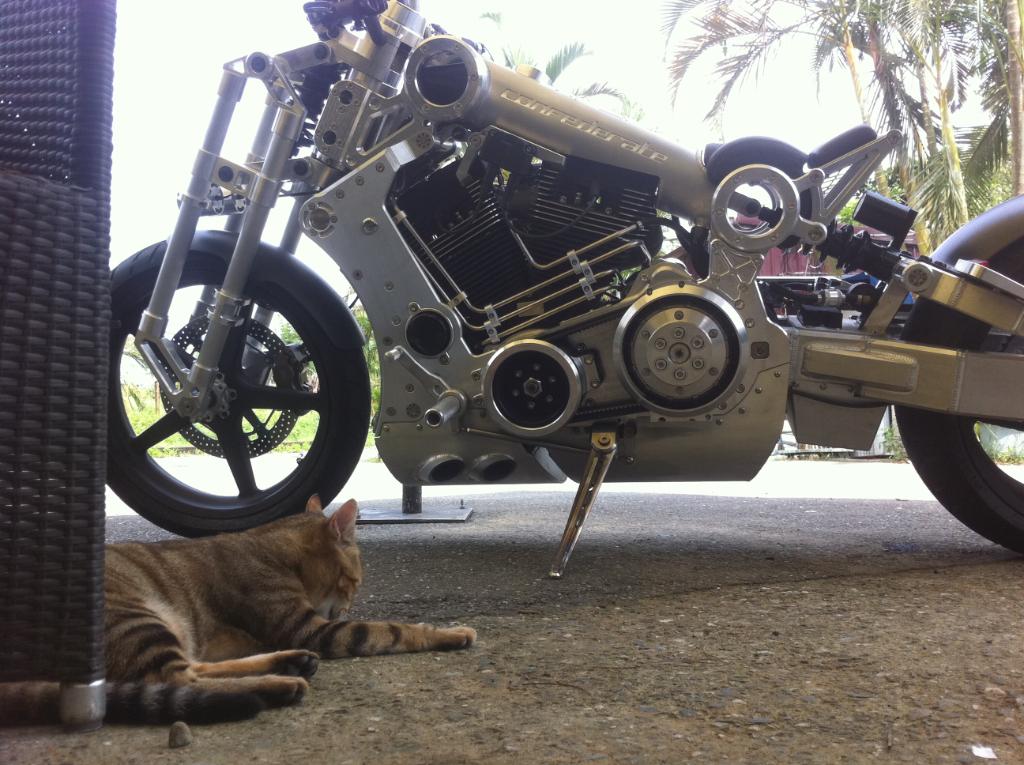 Name:  IMG_6050.jpg
Views: 69
Size:  137.2 KB