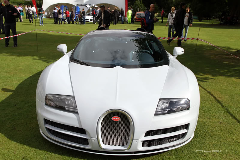 Name:  IMG_3631.jpg
Views: 47
Size:  95.8 KB