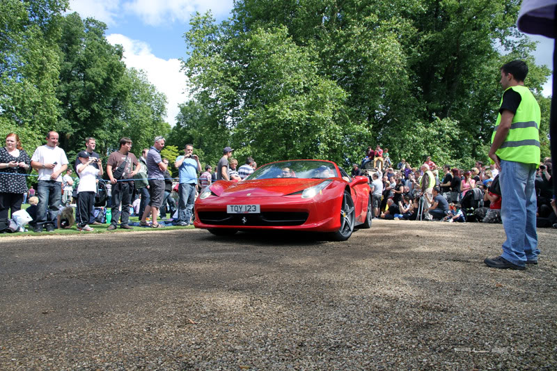 Name:  IMG_3774.jpg
Views: 55
Size:  198.3 KB
