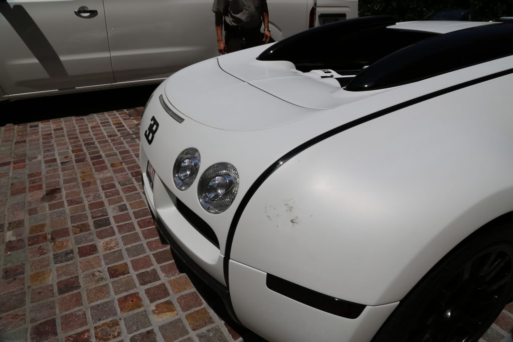 Name:  2A9A0119.jpg
Views: 466
Size:  88.0 KB