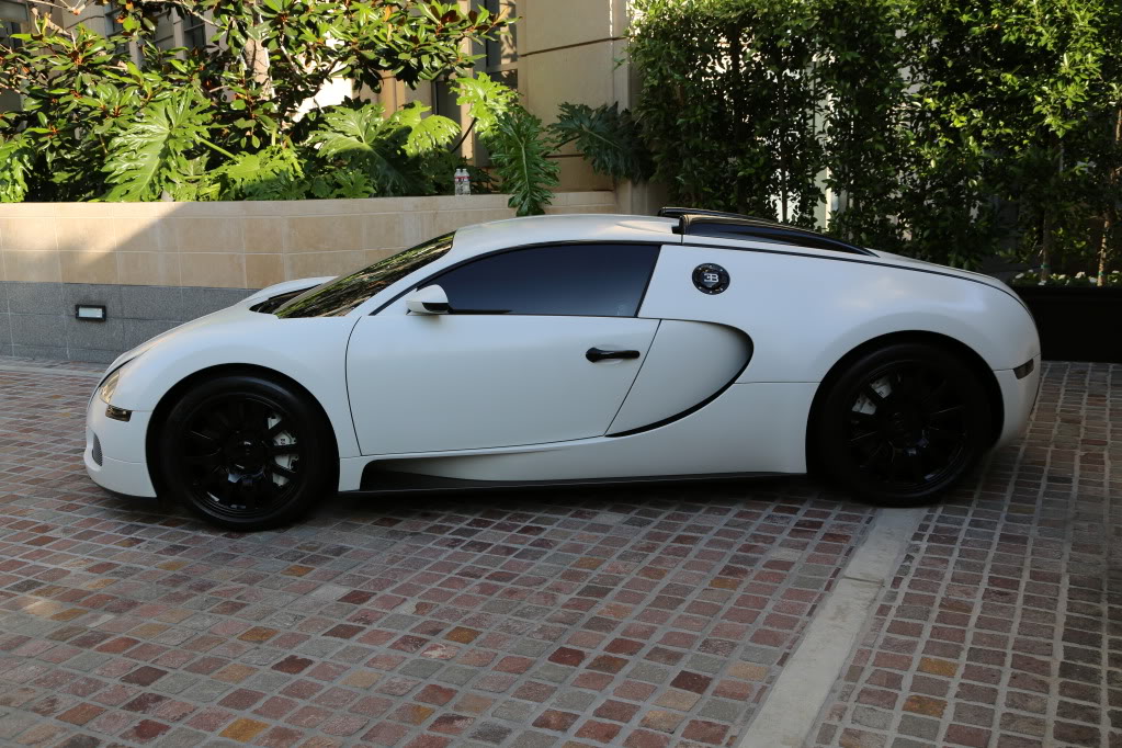 Name:  2A9A0161.jpg
Views: 486
Size:  180.7 KB