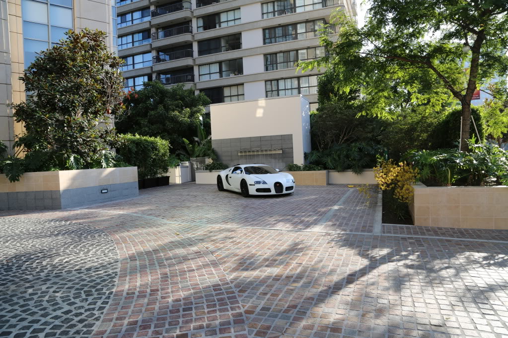 Name:  2A9A0181.jpg
Views: 440
Size:  239.3 KB