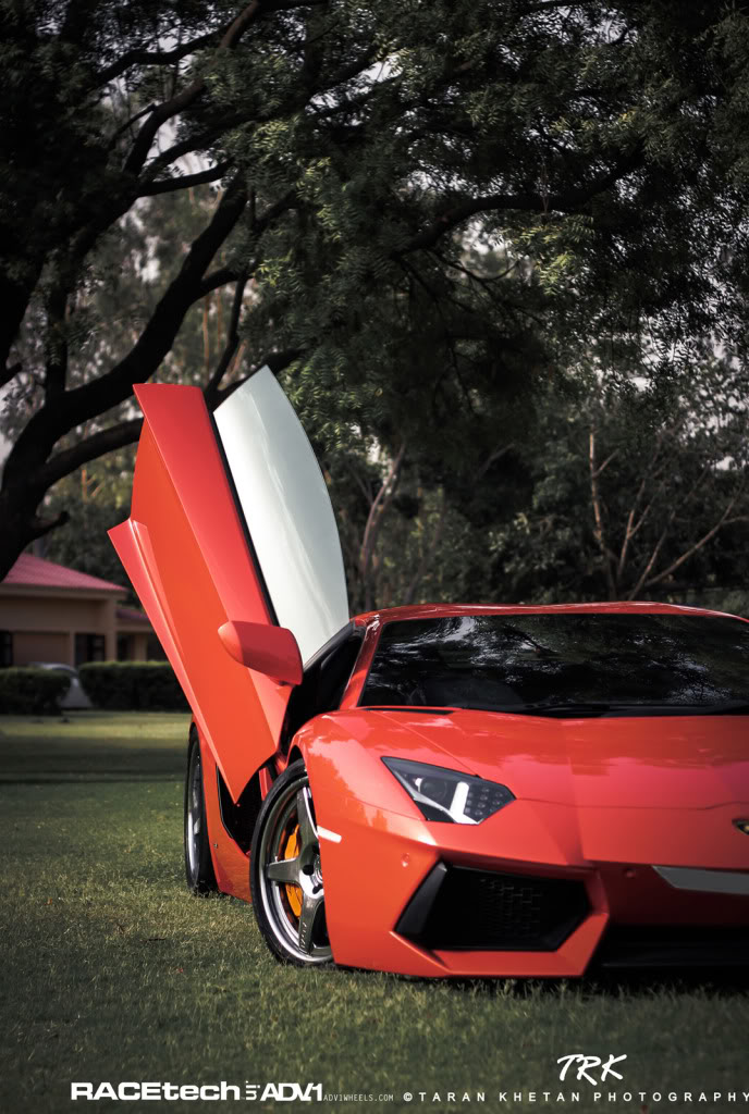 Name:  IMG_8925-1.jpg
Views: 44
Size:  154.6 KB