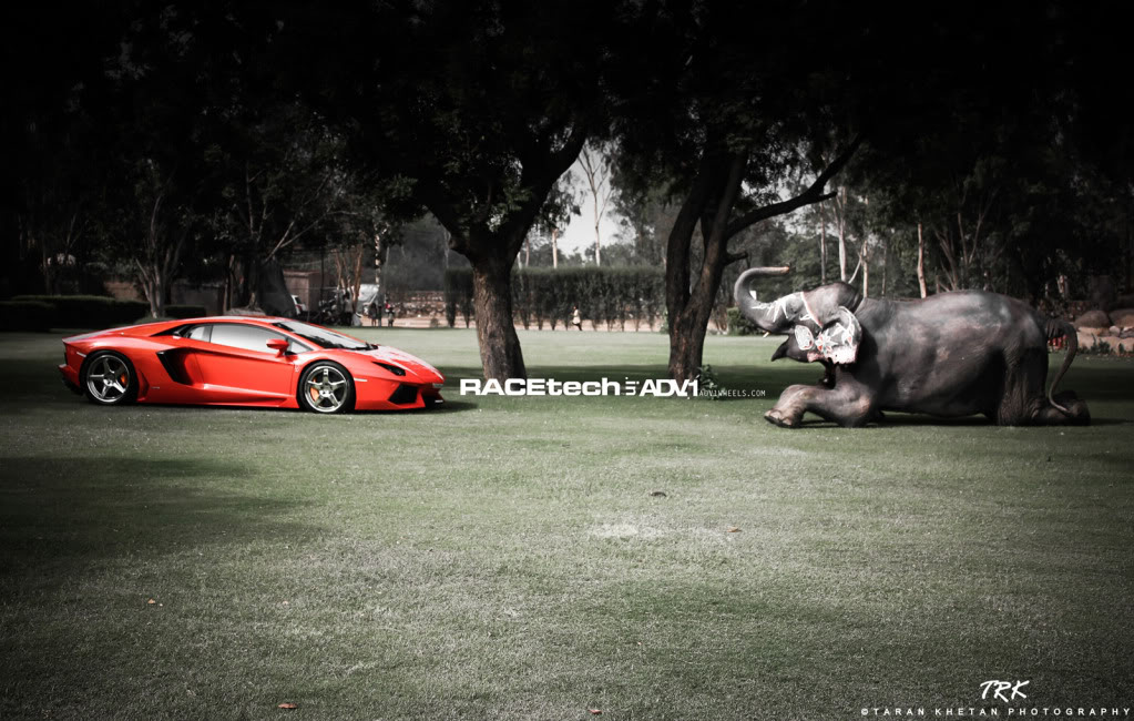 Name:  IMG_9254-1.jpg
Views: 41
Size:  160.4 KB