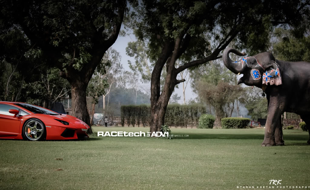 Name:  IMG_9304-1.jpg
Views: 52
Size:  171.0 KB