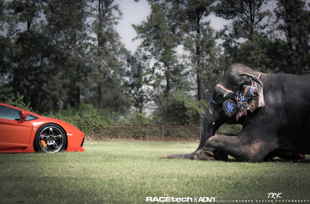 Name:  IMG_9361-1.jpg
Views: 38
Size:  182.5 KB