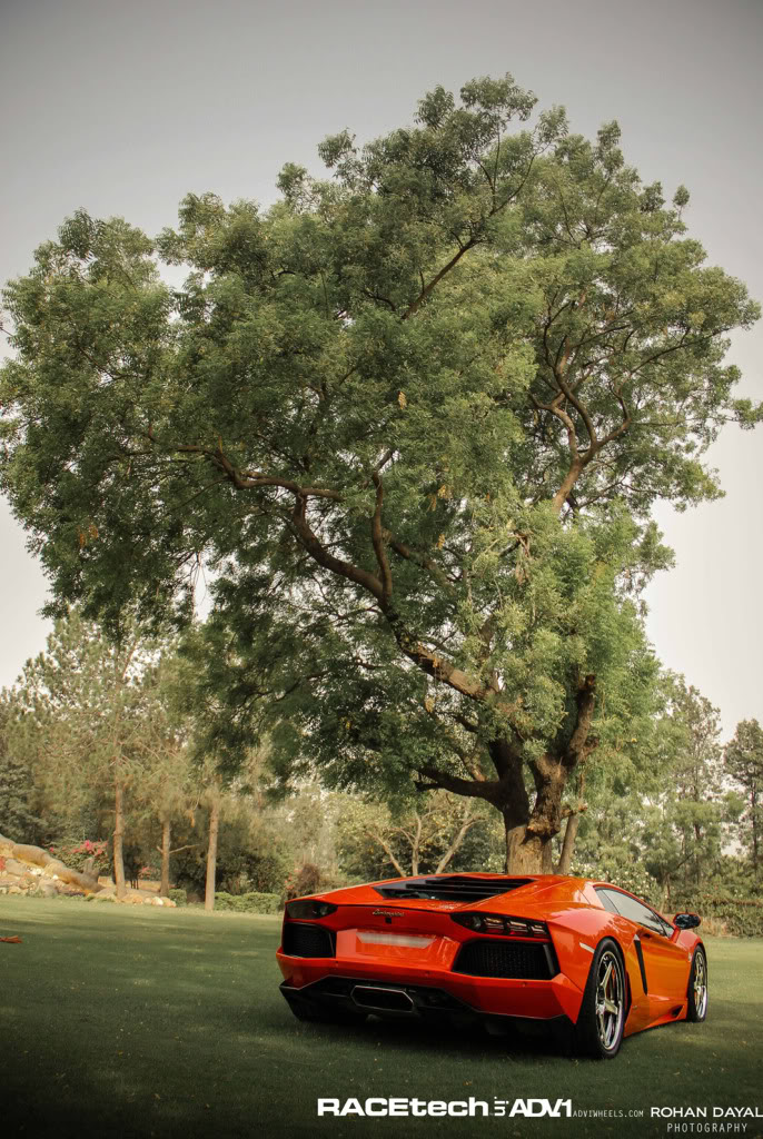 Name:  IMG_9752.jpg
Views: 45
Size:  221.3 KB