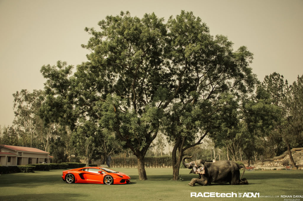 Name:  IMG_9825-2.jpg
Views: 41
Size:  211.3 KB