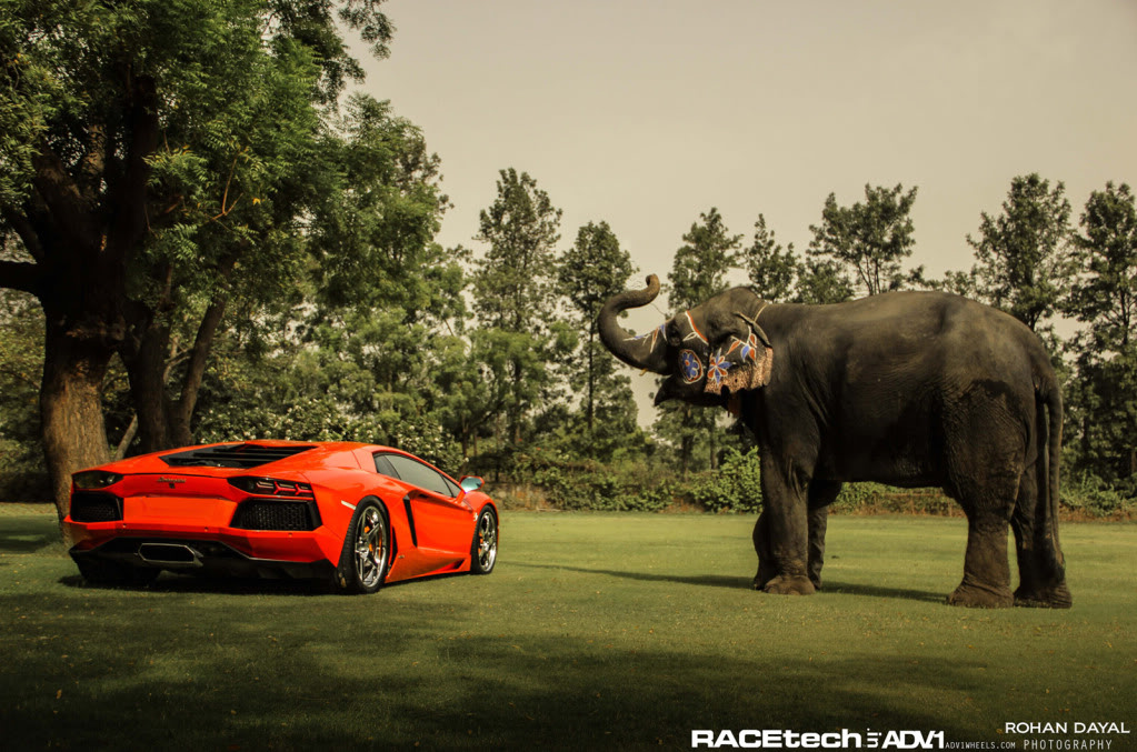 Name:  IMG_9893.jpg
Views: 42
Size:  216.7 KB