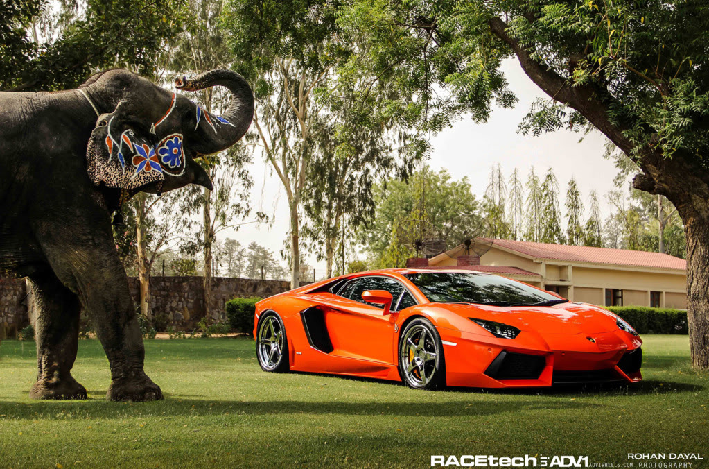 Name:  IMG_9913.jpg
Views: 47
Size:  342.9 KB