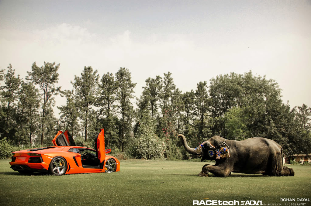 Name:  IMG_9960-2.jpg
Views: 40
Size:  202.6 KB